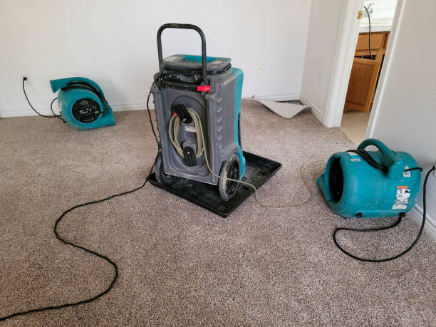 Best Ceiling water damage repair  in Mount Vernon, KY