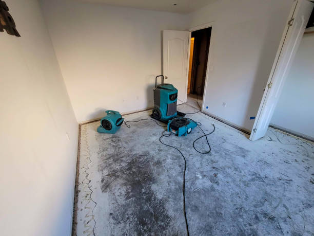 Best Water damage restoration near me  in Mount Vernon, KY