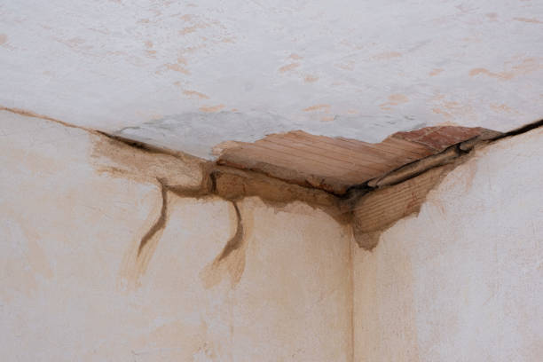 Best 24/7 water damage repair  in Mount Vernon, KY