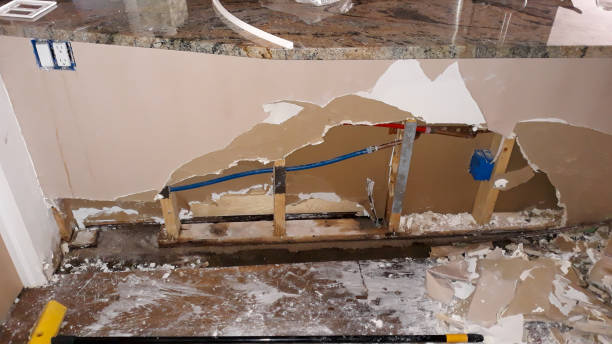 Best Water damage cleanup near me  in Mount Vernon, KY