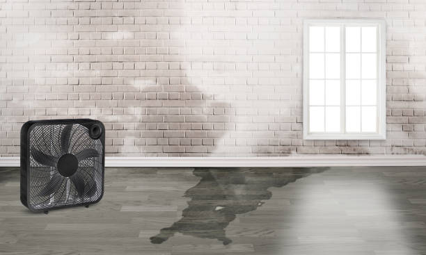 Reliable Mount Vernon, KY Water damage restoration Solutions