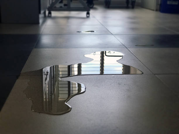 Best Water damage restoration cost  in Mount Vernon, KY
