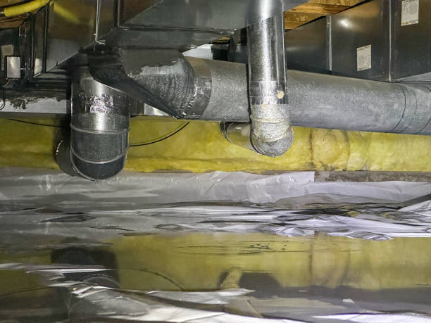 Best Professional water damage repair  in Mount Vernon, KY