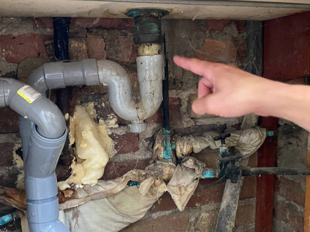 Best Local water damage restoration  in Mount Vernon, KY