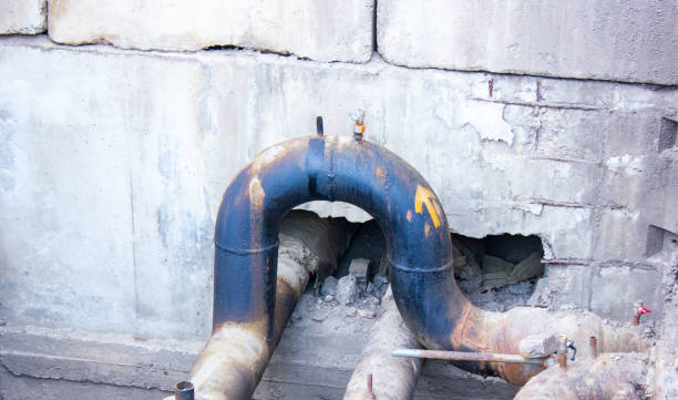 Best Water damage mitigation services  in Mount Vernon, KY