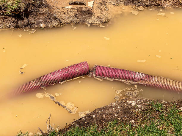 Best Sewage cleanup and water damage restoration  in Mount Vernon, KY