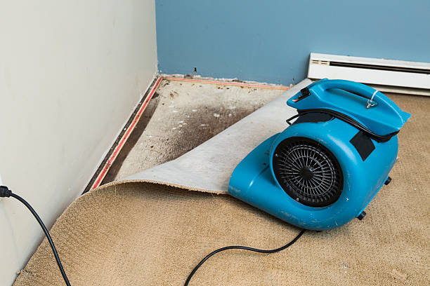 Professional Water damage restoration in Mount Vernon, KY